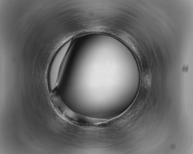 X0000098050389200804111318