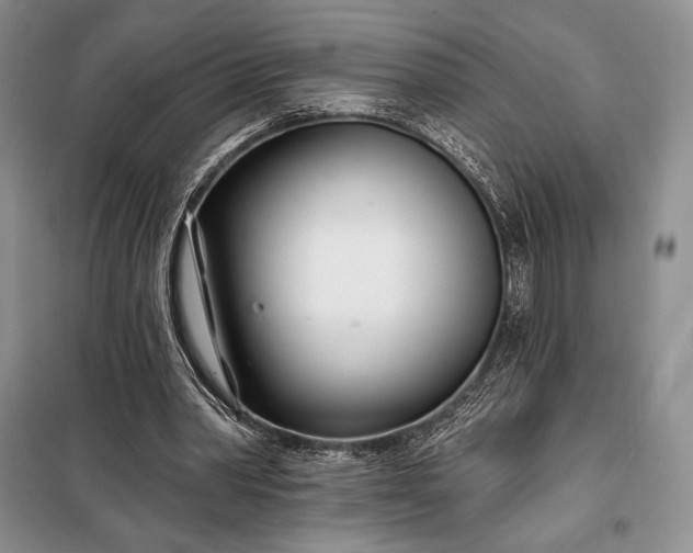 X0000098050390200804111318