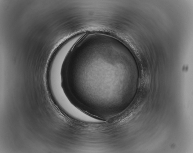 X0000098050391200804111318