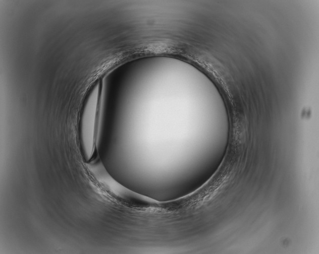 X0000098050393200804111318