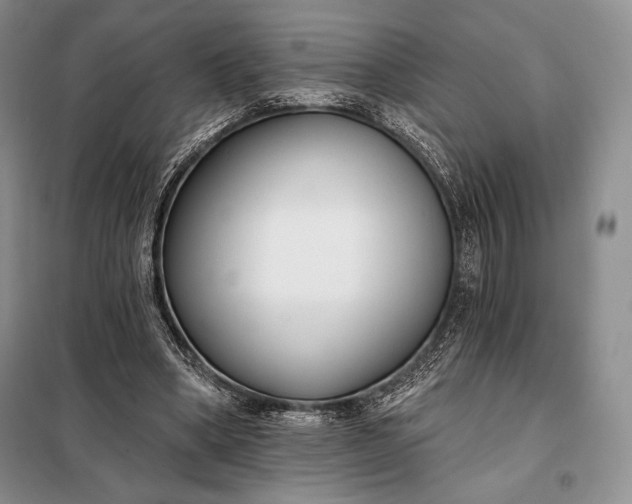 X0000098050394200804111318