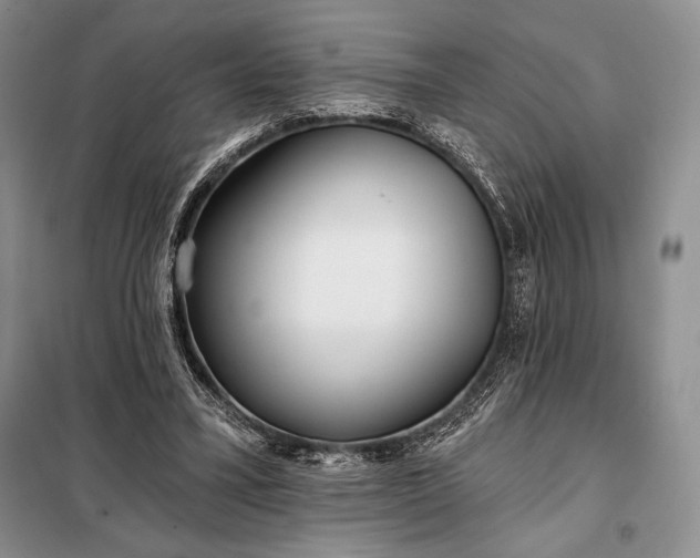 X0000098050395200804111318