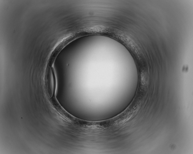 X0000098050396200804111318