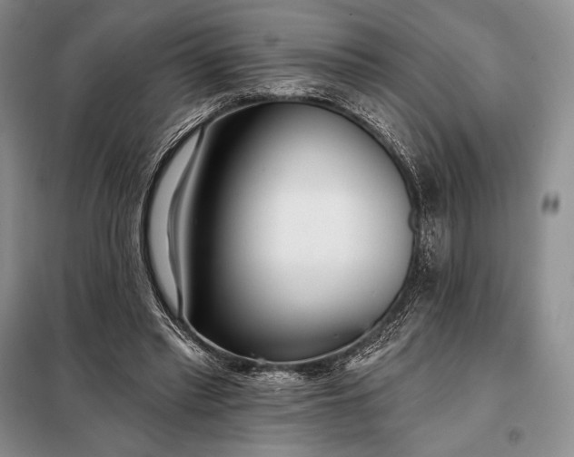 X0000098050397200804111318