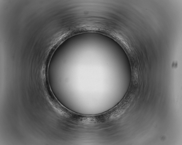 X0000098050398200804111318