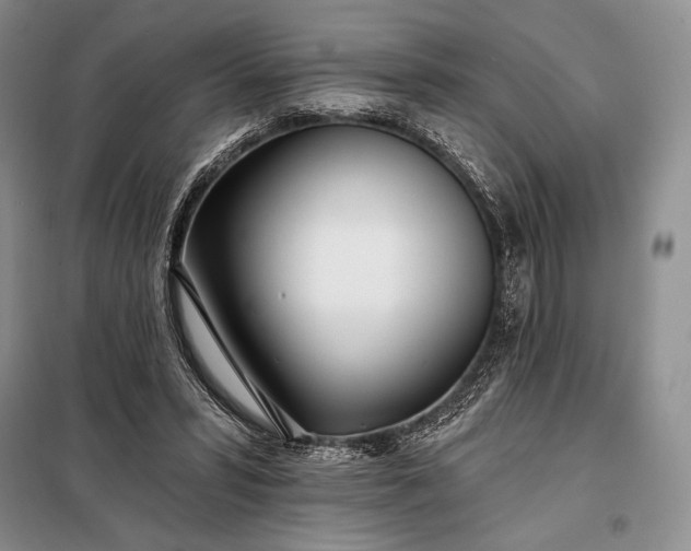 X0000098050399200804111318