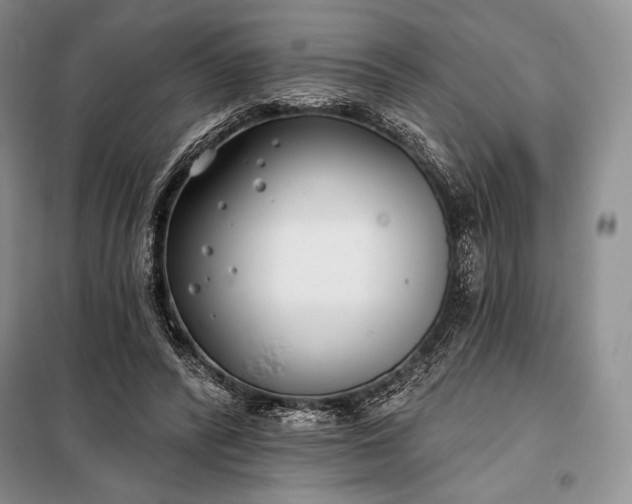 X0000098050400200804111318