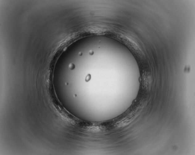 X0000098050404200804111318