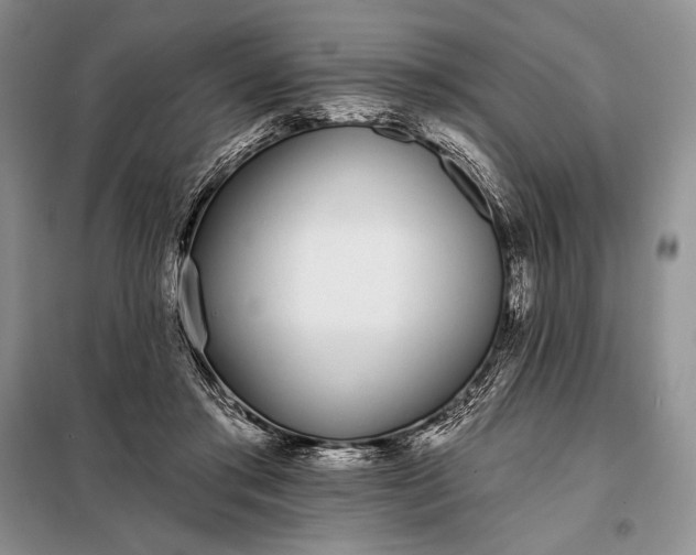 X0000098050405200804111318