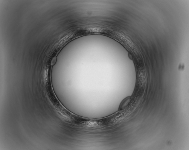 X0000098050406200804111318