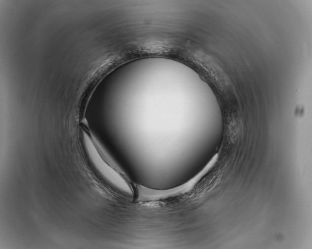 X0000098050407200804111318