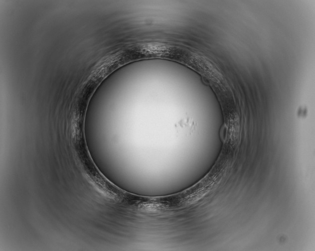 X0000098050408200804111318