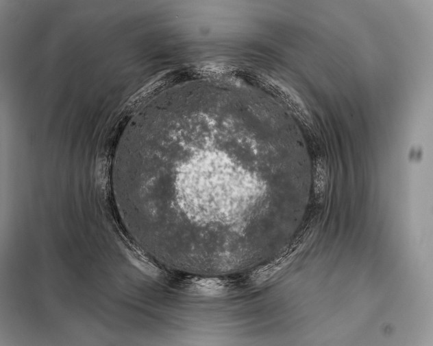 X0000098050409200804111318