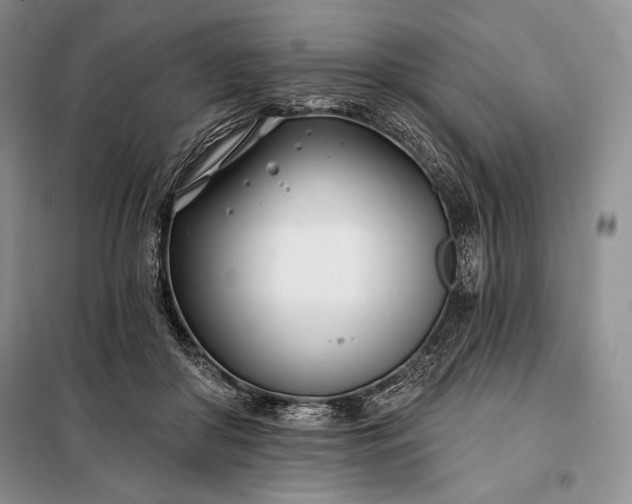 X0000098050410200804111318