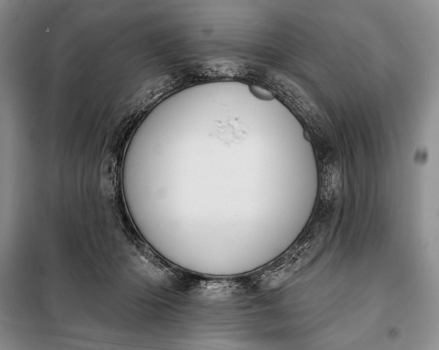 X0000098050414200804111318