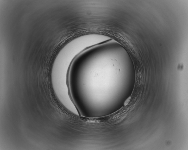 X0000098050415200804111318