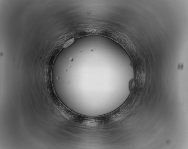 X0000098050416200804111318