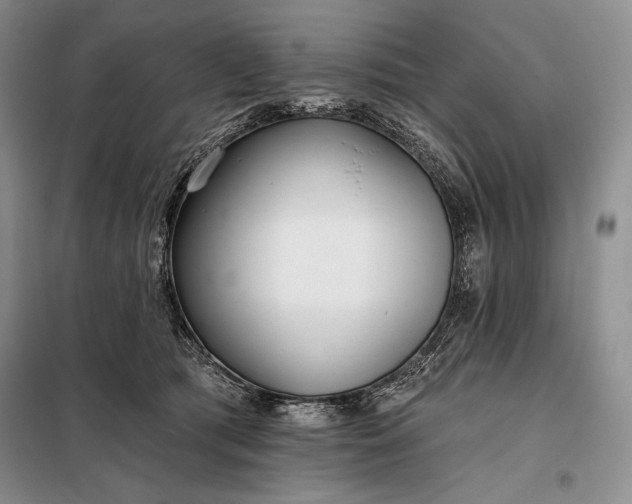 X0000098050417200804111318