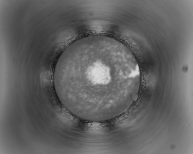 X0000098050419200804111318