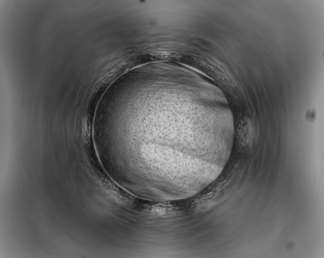 X0000098050420200804111318