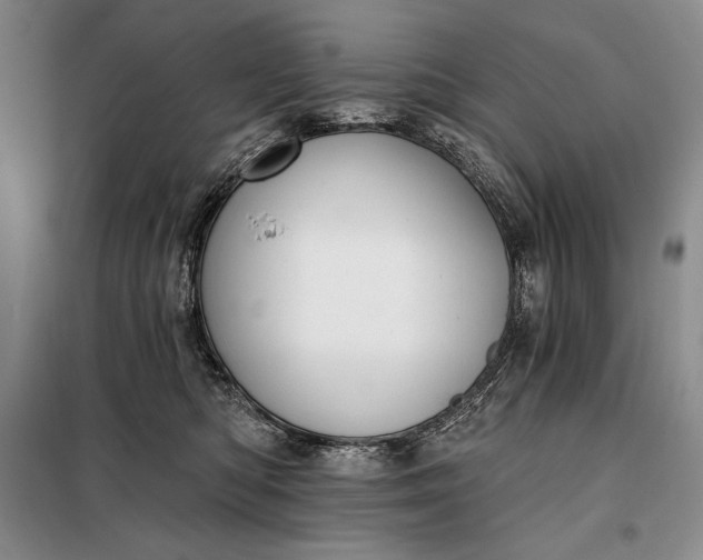 X0000098050422200804111317