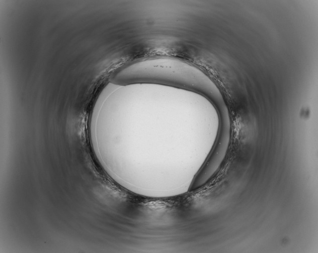 X0000098050423200804111317