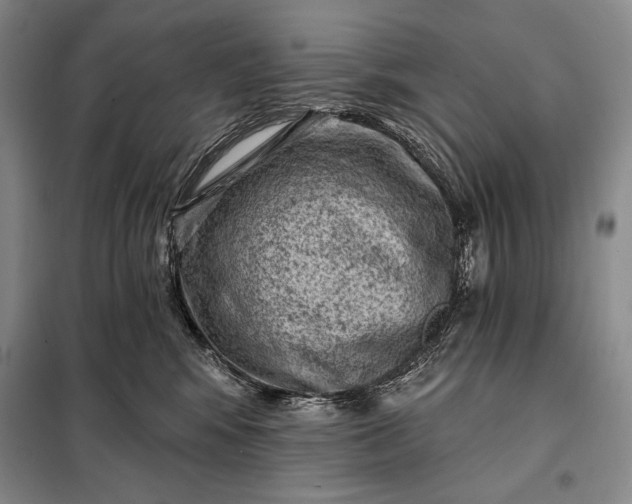 X0000098050424200804111317