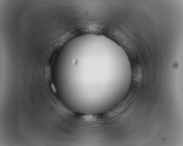 X0000098050425200804111317