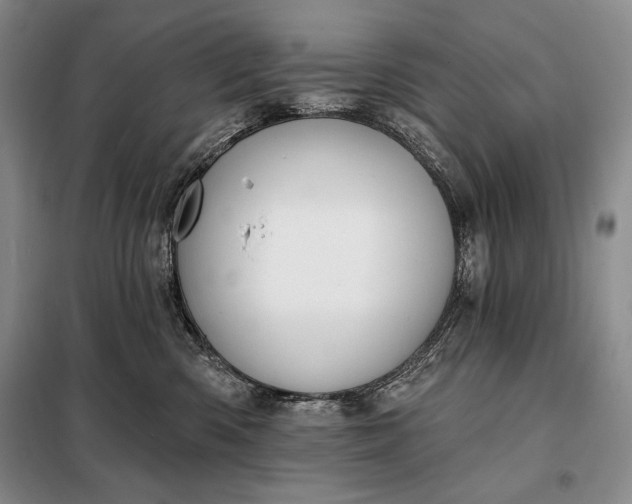 X0000098050426200804111317