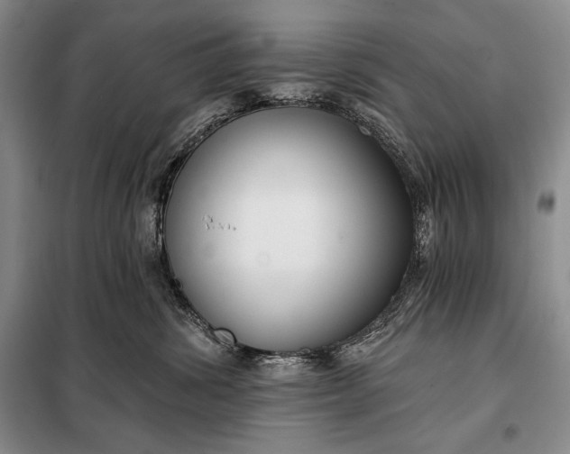 X0000098050428200804111317