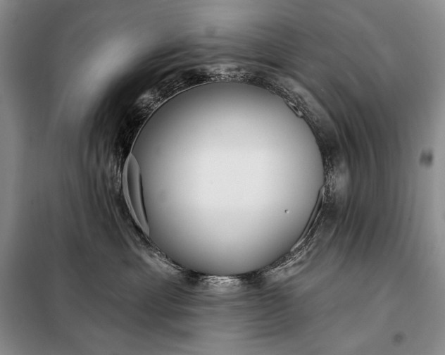 X0000098050429200804111317