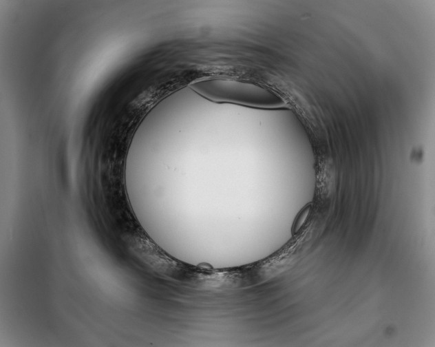 X0000098050430200804111317