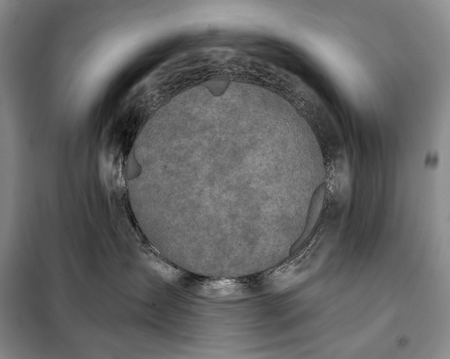 X0000098050431200804111317