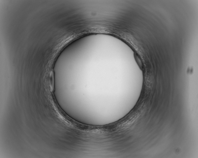 X0000098050433200804111317