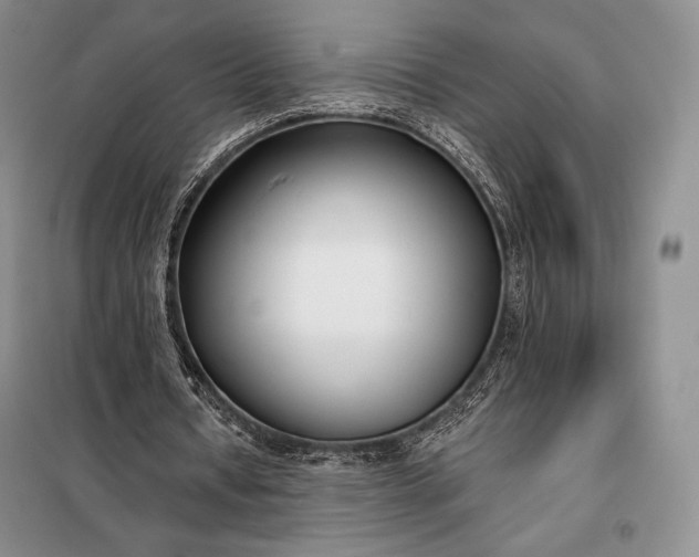 X0000098050434200804111317