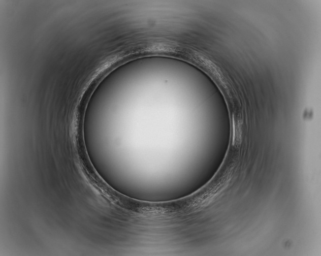 X0000098050435200804111317