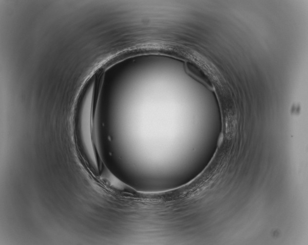 X0000098050436200804111317