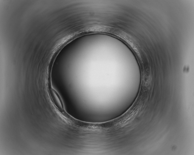 X0000098050437200804111317