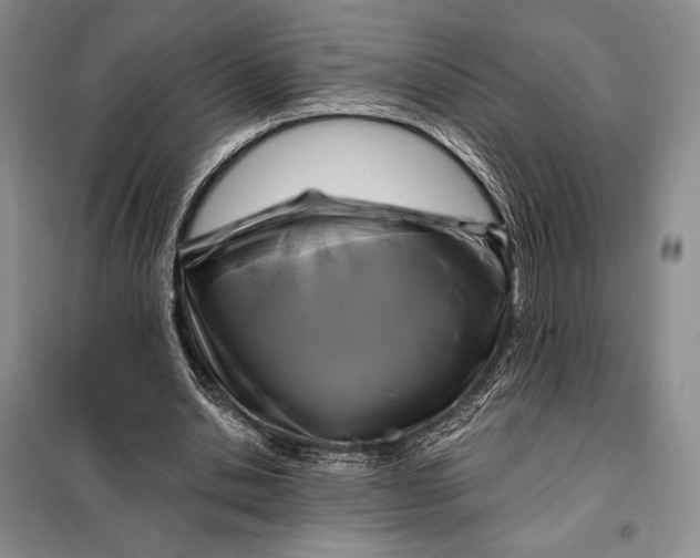 X0000098050438200804111317