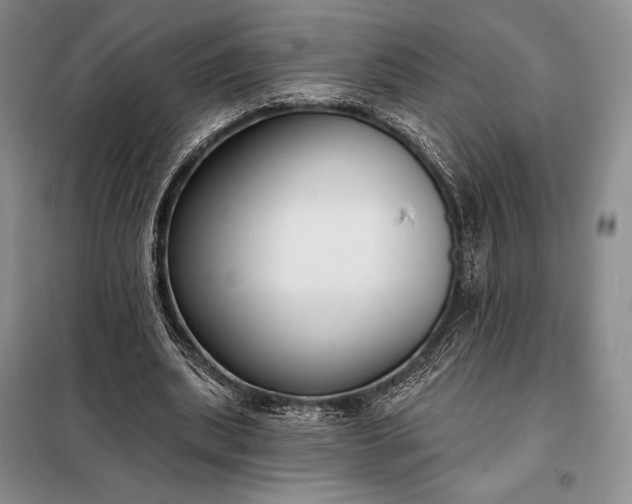 X0000098050439200804111317