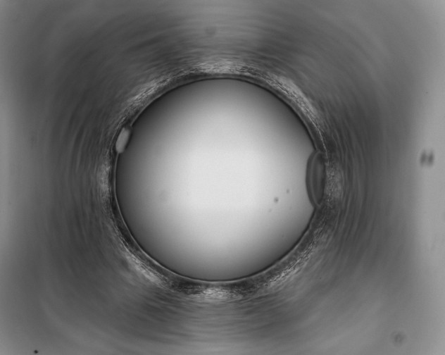 X0000098050441200804111317