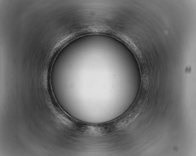 X0000098050442200804111317