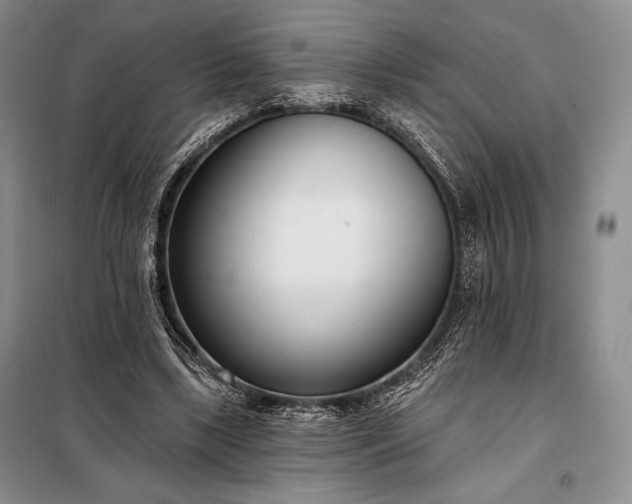 X0000098050443200804111317