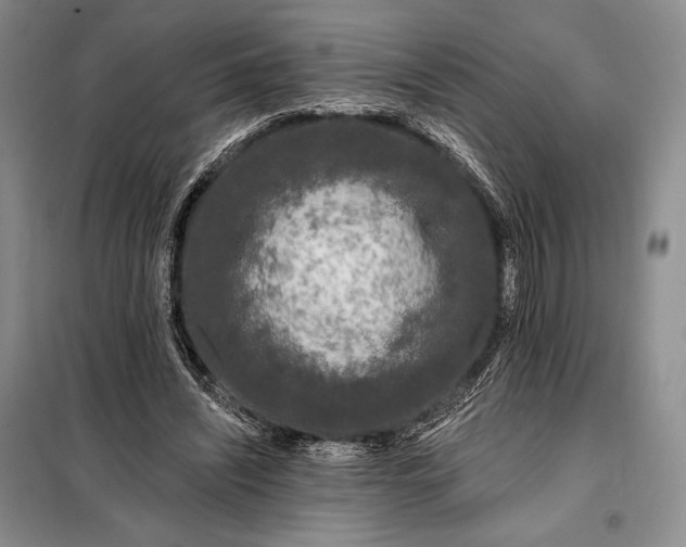 X0000098050444200804111317