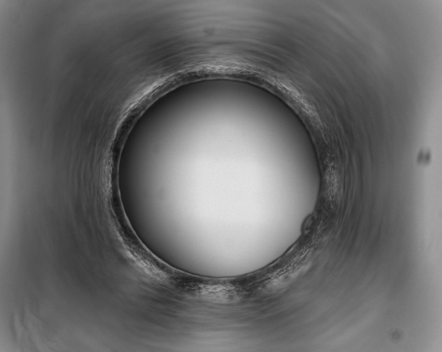 X0000098050446200804111317