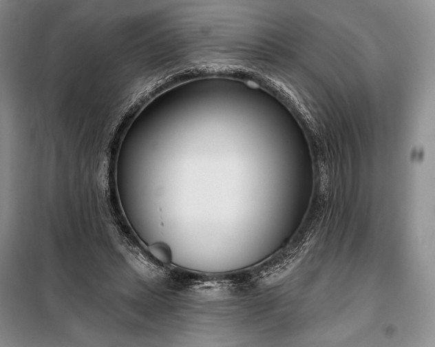 X0000098050447200804111317