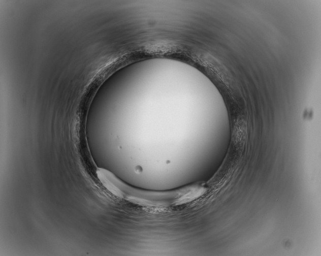 X0000098050448200804111317