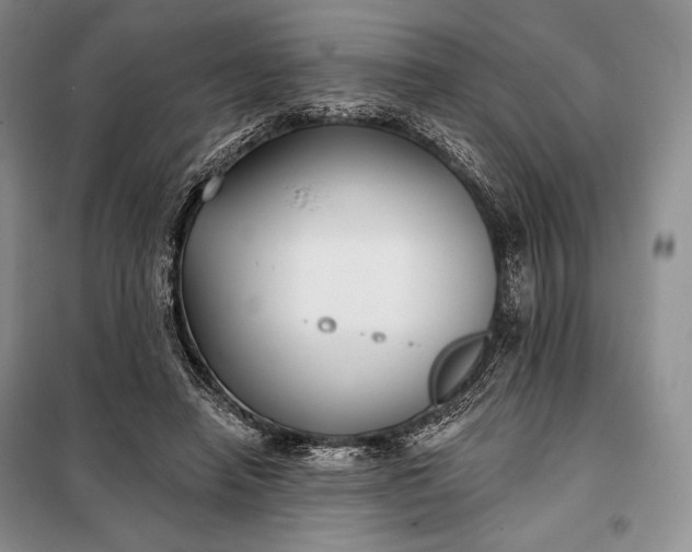 X0000098050450200804111317