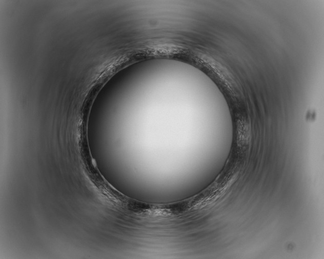 X0000098050451200804111317