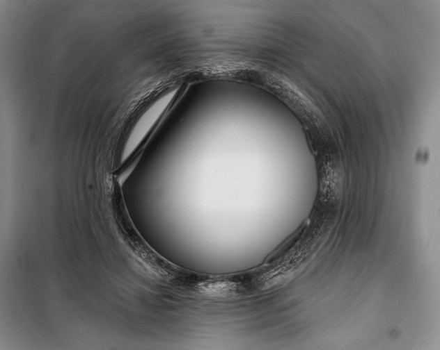 X0000098050452200804111317